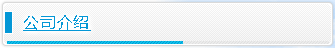 公司介绍